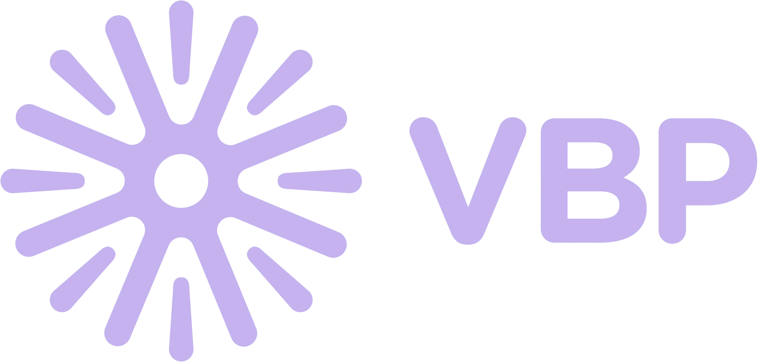 VBP Footer Logo